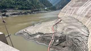 Experimental dam sediment flushing 2024 [upl. by Ful]