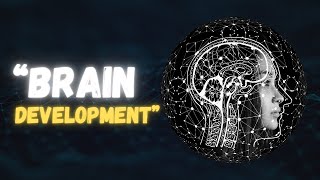 Brain development A story of brain development [upl. by Jacy]