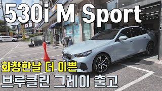 BMW 530i M Sport 브루클린 그레이 출고  세일즈맨은 세일즈맨을 알아본다 [upl. by Hildegaard]