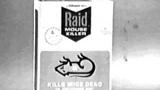 Classic Tv Commercial Raid Mouse amp Rat Killer 1960s [upl. by Nennahs]