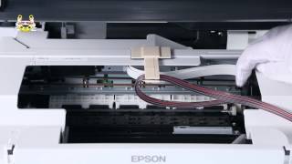 Установка СНПЧ на МФУ Epson Expression Home XP315 [upl. by Anoik]