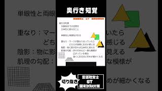 奥行き知覚と視覚的断崖 鏡映描写 ハノイの塔 スキナー箱 無意味つづり [upl. by Osmen]