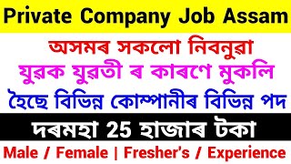 Assam Private Job 2024  Private Job Assam 2024  Assam Job News Today  Dibrugarh Private Job Assam [upl. by Leirbma943]