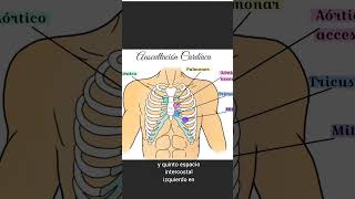 Focos auscultatorios en cardiología shorts [upl. by Xymenes]