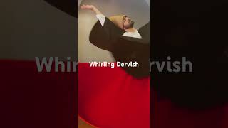 Whirling Dervish Nicosia Cyprus [upl. by Alyehc557]