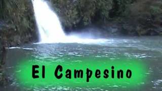 el campesinompg [upl. by Ecirtaed895]