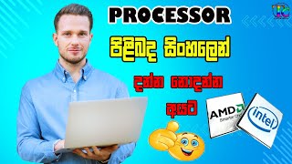 Processor Experiment  Sinhala  Tronic Class👌 [upl. by Dickman]