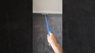 Todays raking session 🤪 carpetraking asmr carpetcleaning bliss satisfying youtube [upl. by Gelman]