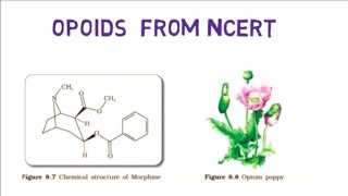 Mnemonic for Opoids  Drugsand alcohol abuseNEET [upl. by Nairadal688]