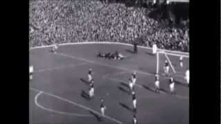 George Best vs Scotland 1967 [upl. by Holman]