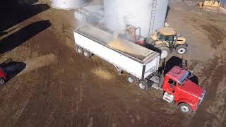 Loading soybeans with a farm king grain vac [upl. by Ajna]