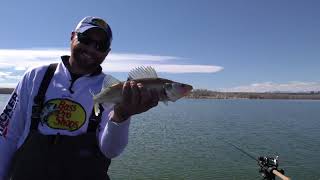 Trolling Leadcore to Target Deep Walleye In Cold Water [upl. by Dail]