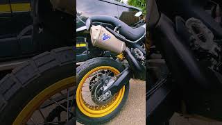 Desert Sled annual service break down desertsled ducatiscrambler [upl. by Einner]