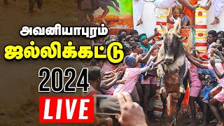 🔴அவனியாபுரம் ஜல்லிக்கட்டு நேரலை  Jallikattu Live 2024  Avaniyapuram [upl. by Yelahc]