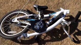 WeeRide Copilot bike add on  trailer for kids Quick review Turns your bike into a double bike [upl. by Aivitnahs834]