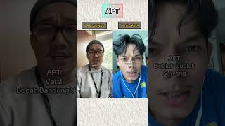 APT Versi Sunda dan Jawa fyp trending tiktok idtiktok [upl. by Adnihc]