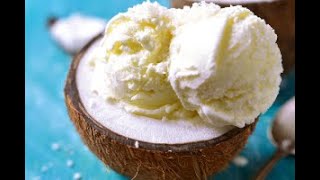 How to Make Vegan Ice Cream With Coconut Milk Home Recipe NonDairy with Kitchenif Ice Cream Maker [upl. by Alvinia]