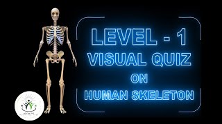 Quiz Skeletal System Of Human Body 3D Animation [upl. by Ileray696]