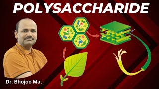 Polysaccharide  Carbohydrate  Class 11 Biology  by Dr Bhojoo Mal [upl. by Brew115]