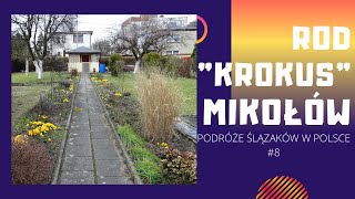 ROD Krokusquot Mikołów  historia NAJSTARSZYCH działek w Mikołowie  WYWIAD [upl. by Fairfield]