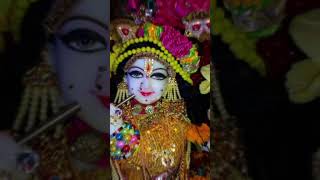 Adharam Madhuram Hindi Version  Swasti Mehul  Madhurashtakam Krishna Janmashtami Special Bhajan [upl. by Ellainad76]