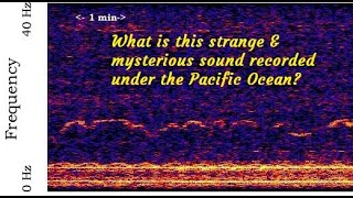 Strange amp Unidentified Sounds Recorded Under The Ocean  What are they [upl. by Adena781]