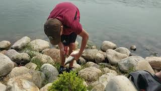 Fishing Chronicles Chestermere Lake Fishing [upl. by Ateuqram504]