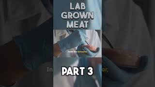 Lab Grown Meat part 3 shorts [upl. by Taran]