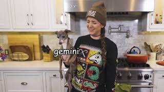 Jenna Marbles Dogs as Zodiac Signs 3 [upl. by Jerad444]