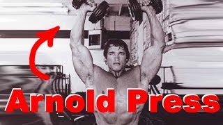 Arnold Press  Schultern trainieren wie Arnold Schwarzenegger [upl. by Bollen]