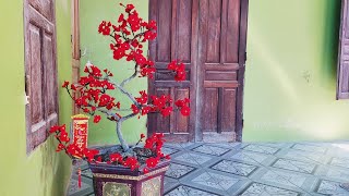 Instructions for potting plum and peach flowerspeach blossom festival  làm hoa handmade [upl. by Haraz]