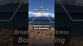 Breathing for Stress Box Breathing [upl. by Atinel567]