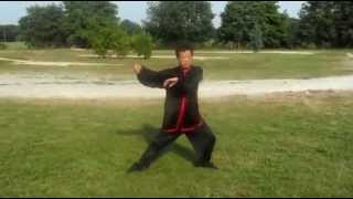 Hunyuan Taijiquan 24  Wang Fengming [upl. by Philippe]