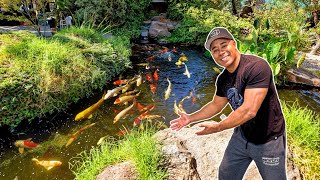 Amazing Koi Farm Tour [upl. by Swec534]