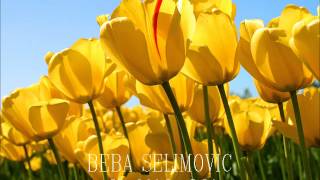 BEBA SELIMOVIC  Ah moj Aljo [upl. by Trill]