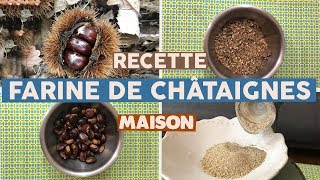 RECETTE DE FARINE DE CHATAIGNES TUTO [upl. by Gibert]