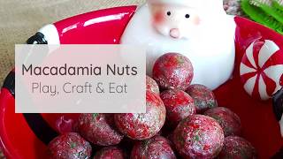 Macadamia Nuts Play Craft and Eat [upl. by Otilrac]