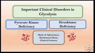 Clinical Disorders Of Glycolysis [upl. by Dumond]