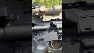 Plinking with a Trijicon ACOG [upl. by Ttayh]