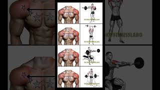 Want wider shoulders  Do these  shoulderworkout 肩トレ [upl. by Maynord]