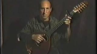 Fingerstyle Cittern Lesson Reel Techniques [upl. by Avir969]