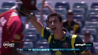 Mitch Starc Yorker Compilation [upl. by Wilhelm]