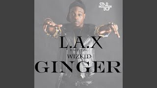 Ginger feat Wizkid [upl. by Dnumyar]