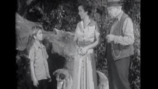 Lassie  Episode 24  quotThe Wellquot Originally broadcast 02201955 [upl. by Bury188]