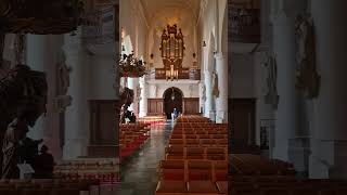 🇧🇪 Inside SintPieterskerk Turnhout 2 ‎TravelwithHugoF Turnhout church belgium [upl. by Llerret40]