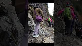 Cliffside Trailhead trail trailhead cliffside hikingtrails youtubeshort ytshorts short [upl. by Edgard]