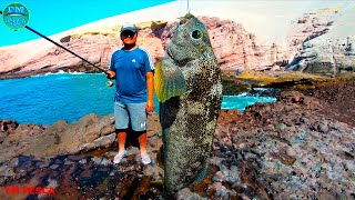 MIRA‼ Toda la variedad de peces que puedes pescar con esta carnada Pesca en peña con carnada kril [upl. by Eikciv240]