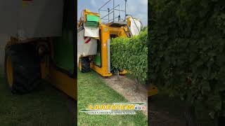 John Deere 6420 and Gregoire G3220 Harvesting Sauvignon Blanc Grapes [upl. by Ayotac375]