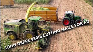 4Kᵁᴴᴰ Harvest 2024 Chopping maize with a John Deere 9800i forager amp Fendt JD JCB Richard Western [upl. by Gustavo245]