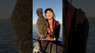 Skiff Day Part 2  Anchovies fishing boatfishing sportfishing halibut fishinglife fishon [upl. by Magocsi428]